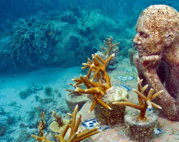 1702944889445375.jpg 257e423483c4aa8f77e16255c4746a60_1.jpg