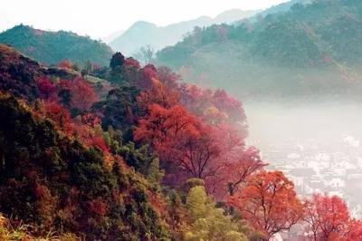 1702969196348876.jpg 0ad21f44c527331c7651f9669becc3ad_t0185647465dcae1f47.jpg