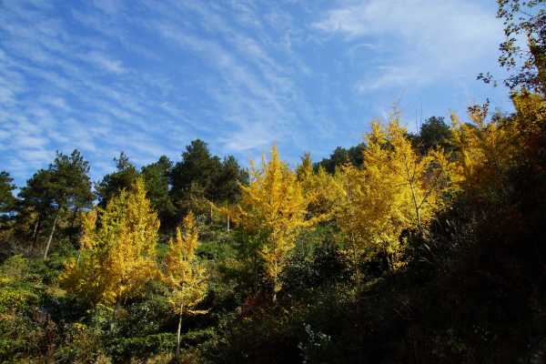 1702969222874719.jpeg 57bef7dbec04b5a9c990589c1641c7b6_wKgBEFq8aw2AA7YaABD1JRdB2DU45_imageView2%2F2%2Fw%2F600%2Fq%2F50.jpeg