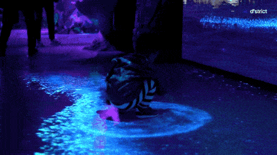 d01485de473f2906d199bf3e24ed28e2_1d6493eb847f4595bae525457833f857.gif