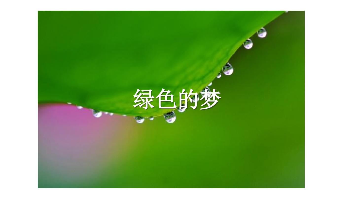 e6cc998754f38a1950157cc557c2e4e6_1-810-jpg_6-1440-0-0-1440.jpg