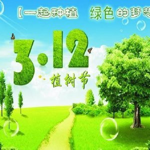 《绿色的梦为你述说》作者：梁兆堂【大众原创诗词曲网刊】签约作家