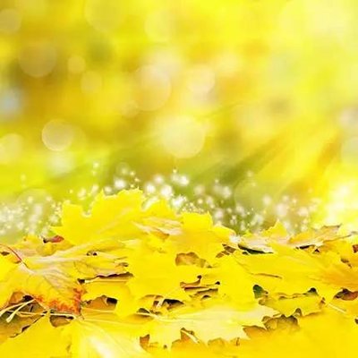 《秋日随笔》作者：樊志刚【大众原创诗词曲网刊】签约作家