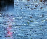 《雨雪夹风彻骨寒​》作者：郑占荣​【大众原创诗词曲网刊】签约作家