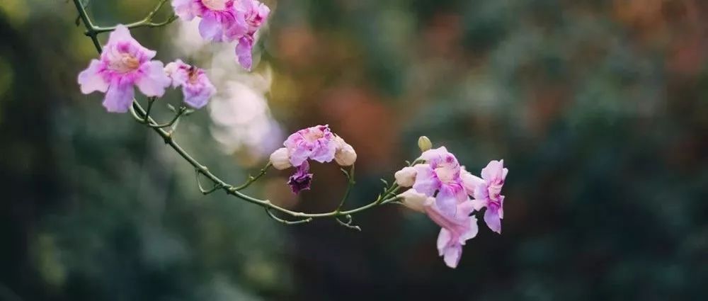 2f205afcacd47f4fcef79165578e4f1c_4f421a005f574f4b944f4d95d2caf916.jpeg