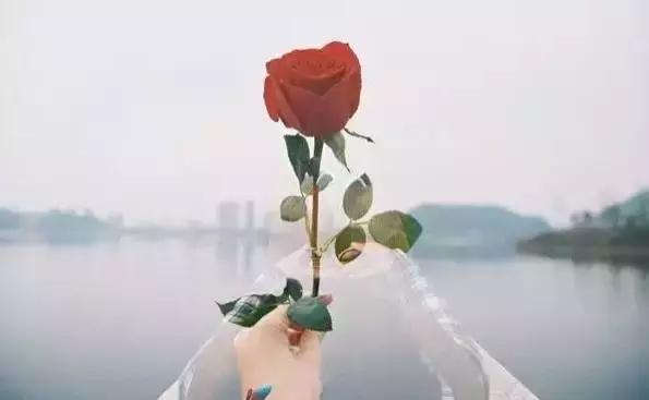 1704176141655339.jpg 9997586533fa7a557ffba2fed5ba845c_0AkJnCUIC5A.jpg