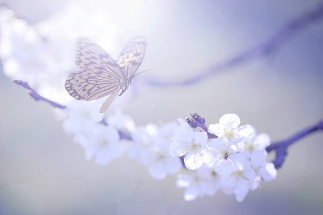 ed95bc53a29eb6b8035df0197214c6ec_6b6267d769c840bd8f9122871edba4e2_th.png