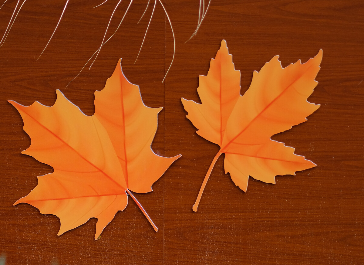 1704537946361742.jpg 81498b0084e49baf6747d94309c26dcb_1012474552.jpg