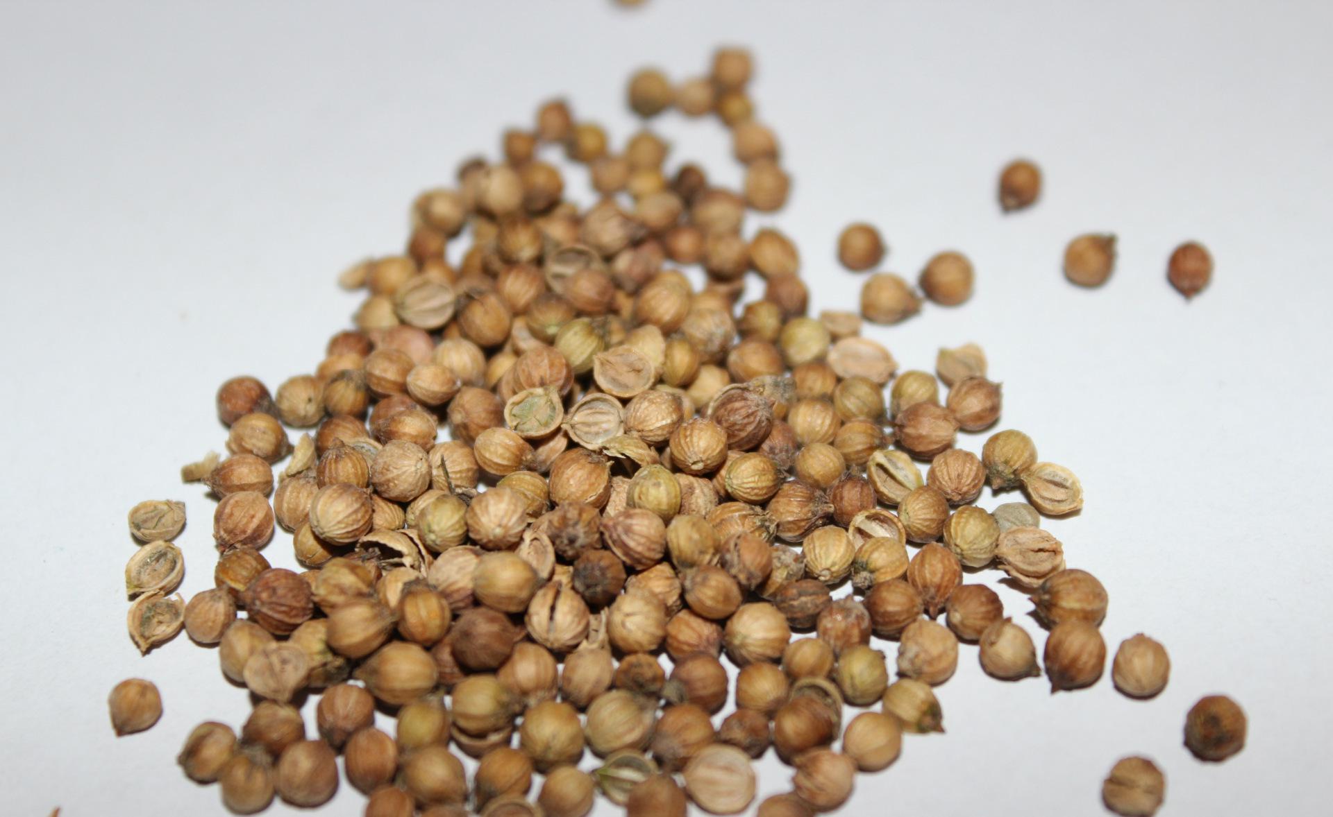 1704538018702186.jpg 4cbefb7a184dd6c00692f290782f5bcf_401fadedfe384abb969df138d51186cd_th.jpg