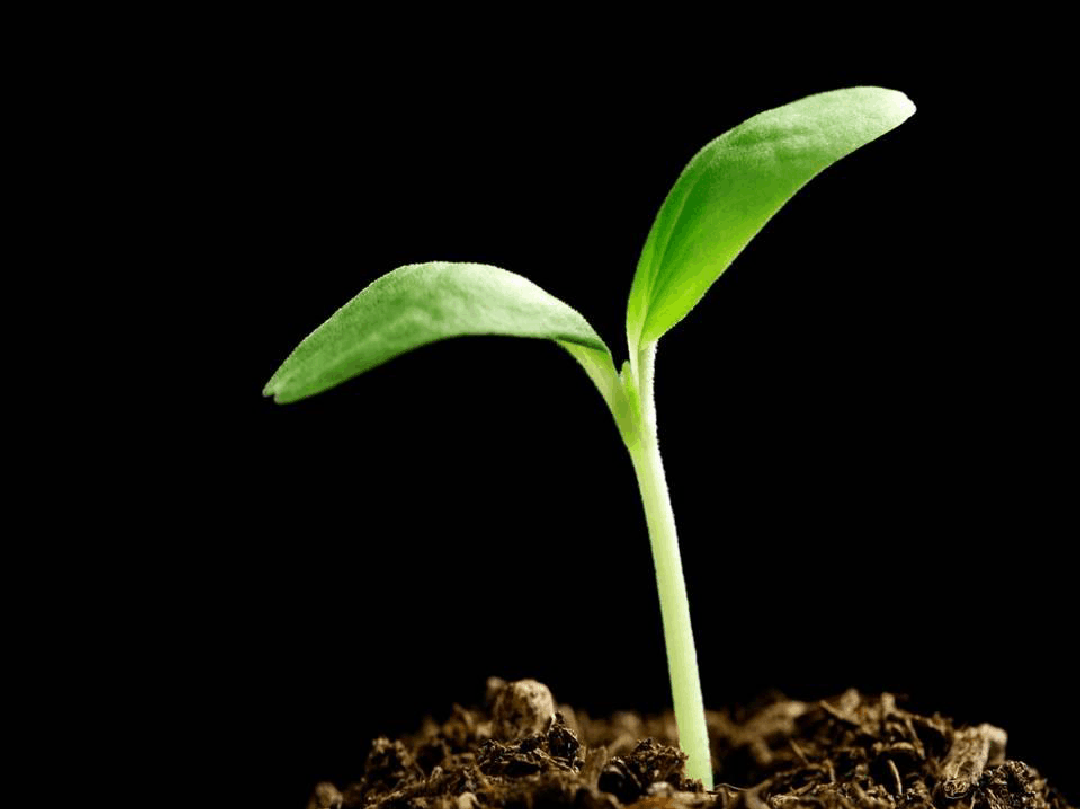 1704538055634009.jpg 727117cf6dca060cde3dfbdc7c290cd0_9-809-png_6_0_0_0_0_0_0_1080_810-1080-0-815-1080.jpg