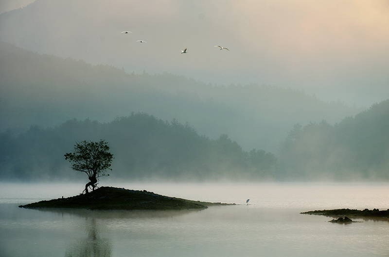 1704586474188350.jpg c00a93b475b9d2f983c636f6c263b40b_124732l1plxyzfx9b7gafd.jpg