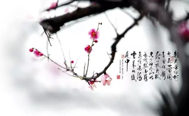 f6237d4cb0527e8680fb1fa114ad9e5c_z=3ER=y2cN6kKlIJGfJN1fWRh8ngEpz5W7FTYqGl4lGn01552605917638.jpg