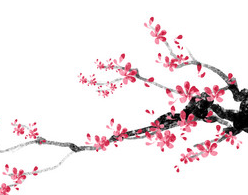 【叶小川作品】专辑 《咏梅》