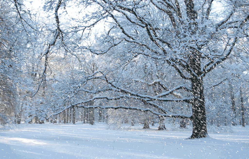 eb0616f96173660324a363f4edd6c3c6_8e564a0ba825445fae96af793a888711.gif