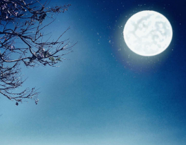 《 ​月》作者：余献增【大众原创诗词曲网刊】签约作家