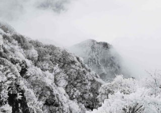《观雪》作者:谭立成【大众原创诗词曲网刊】签约作家