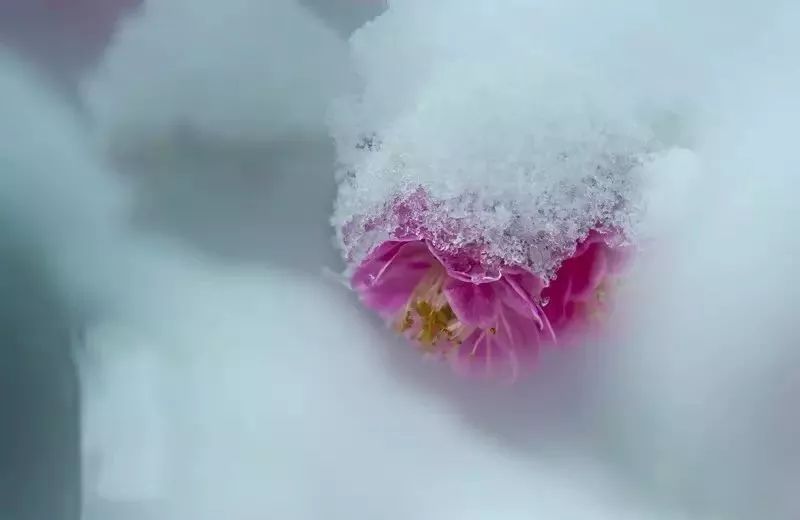 768b2e9351b2c39acc7275b7c819d6a3_5dec4c61af0f4cec97138784d3e86632.jpeg
