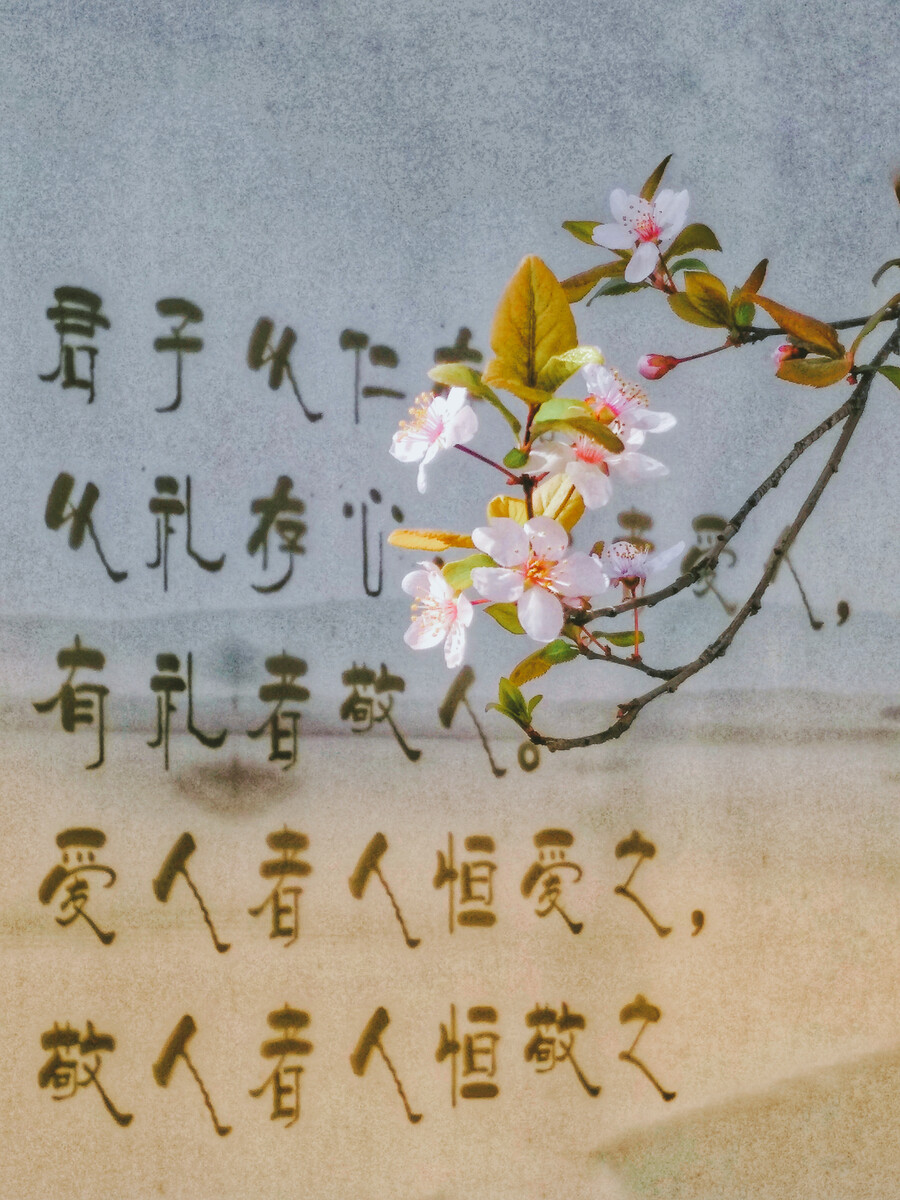 6ab72b14a2aa27f9c9aa6f14be7bf3f2_449973371.jpg