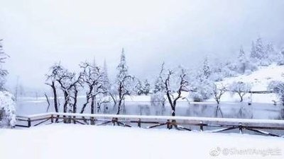 《北雪南调送情意》作者:李铁民【大众原创诗词曲网刊】签约作家