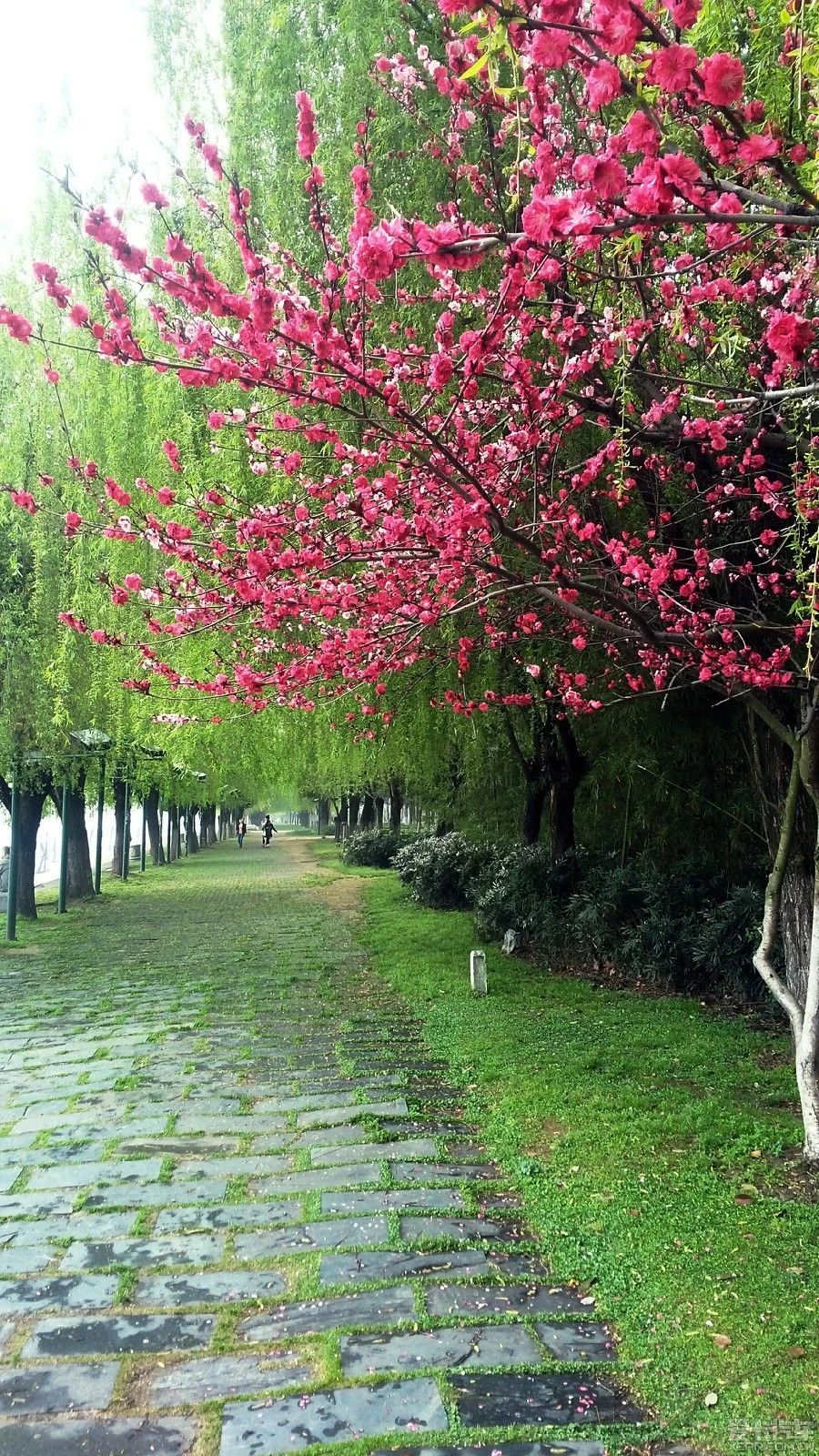 1707533164649714.jpg f2b58ba42c312eae505d64a93da6a46c_2015033021_6231a0e770953b4b6321G6J3lqNNSGVQ.jpg