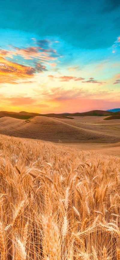 1707533521757468.jpg deb12bc3e122cd2da10f07adac892642_t01dbf41abbd7714962.jpg