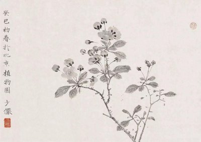 《已初春》作者: ​虬岛【大众原创诗词曲网刊】签约作家