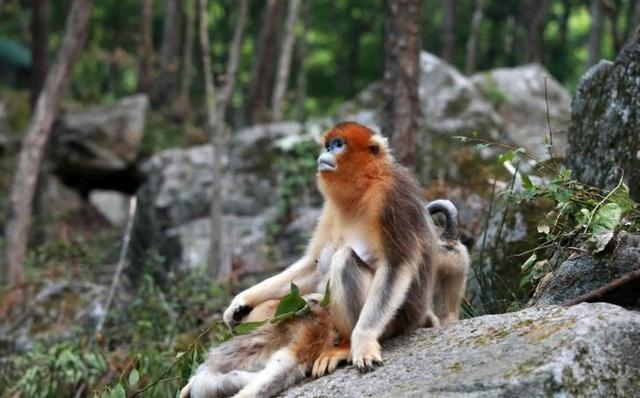 1708254455162500.jpg c9a51ad587fd5e44d007c7fd9170d10f__url=http%3A%2F%2Fdingyue.ws.126.net%2FqUtAkRF8o%3DqzWamVnFnxYUlBABCPsMRf9hzOfNOLGoIVf1533093594140.jpg&thumbnail=650x2147483647&quality=80&type=jpg.jpg