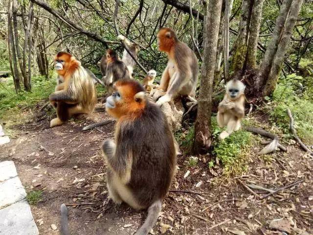 1708254484993464.jpeg ab3db9c896fd5562edbeb4d3ef326ccf_0fbe97a7c87745bdad44c67f24bc7efb.jpeg