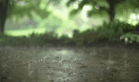 5bb70acf24316b0507026b5d110f534c_f3af090cg00s755x800fwd200cx007ng006p003y.gif