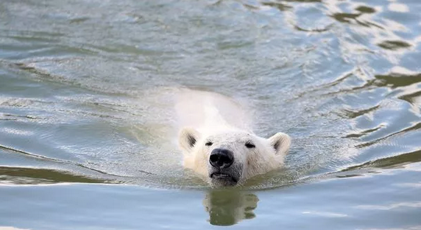 1708600414355235.png 0c670844102103c9d8abbcc71d083521_20200217154129562.png