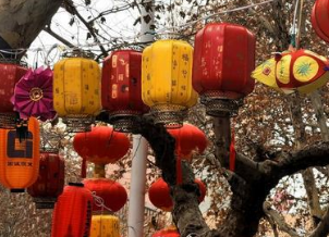 【郑占荣作品】专辑《元宵节日品汤圆》