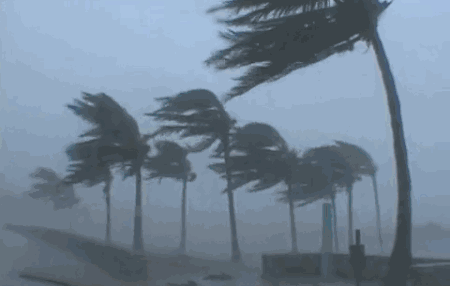 97b258b9b599897e551f66e2f9c4f9aa_469e942e6d694ac7897fa9a7ff618ff2.gif