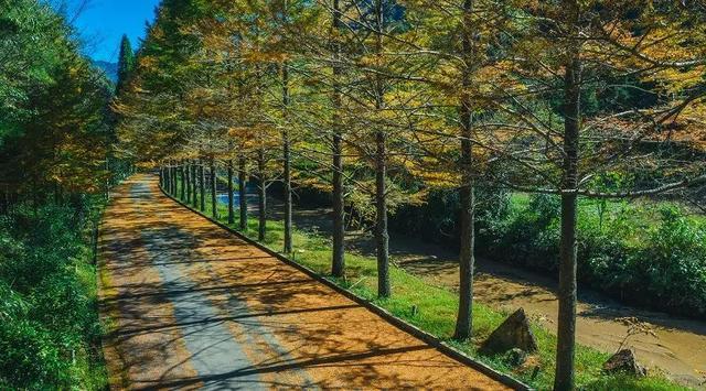 1708853248560968.jpg 04718ec6b744ee43bc5affdd931fcfdf_63aa-icmpfxc1885817.jpg