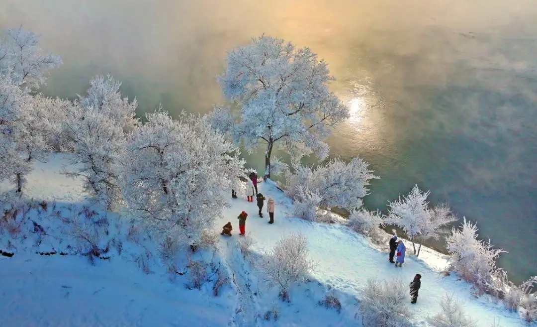 1709036745779342.jpeg 905f23bf304d6a3e5190b7a3db6d7008_8b1de7d92a574655b6e112a790c639ec.jpeg