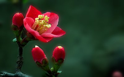 1709299413704371.jpg ab4bc4659acb4c894af388fad6f87ec2_t01aa8e8d76ee9ba730.jpg