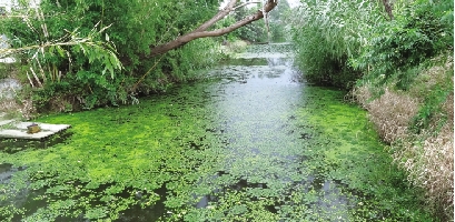 1709383201170991.jpg ec1ed1ad96d45436f9e991c47454cb36_6247459_993334.jpg