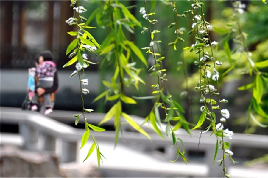 1709383296747815.jpeg d1d6c7a8bad92e8b13b21cf16b715498_d4d9f6a2536b4ed4b1000a4d5bfb176d.jpeg