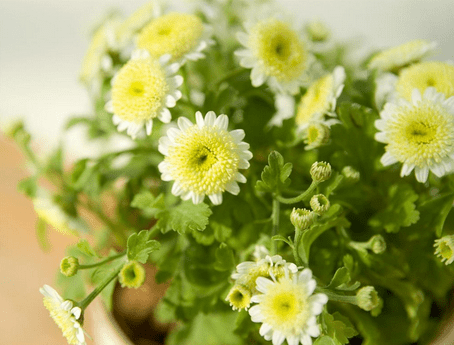 1709383445842321.png 4d50bd6ea95517893b1ce7153ccc5a5a_778-1605091K308.png