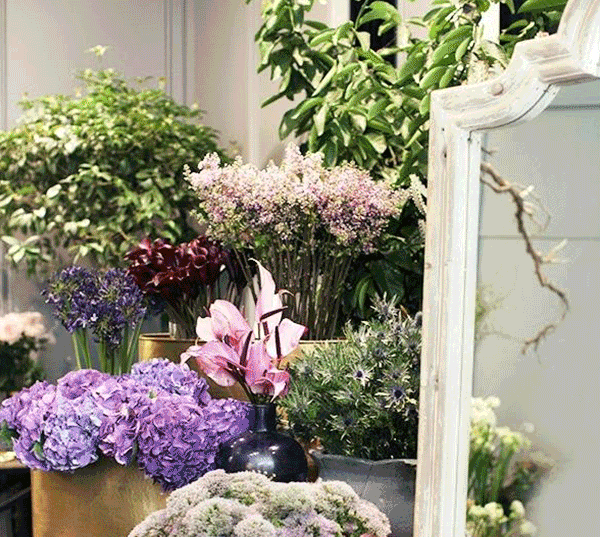 1709383472611950.gif e66bdcc02027091d3635b432e5fd3bdd_4c14a6e78c5d445399ceb6d7173a0f03.gif