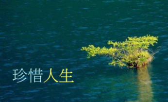 《走过的梦……》作者: 海明【大众原创诗词曲网刊】签约作家