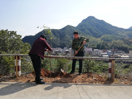 1709704147379332.jpg 1c2faf42524d5a3d03f35f9f2ea3eb12_s1803151118044192423.jpg