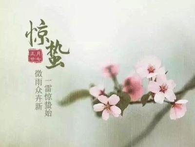 《惊蛰节吟》作者: 谭立成【大众原创诗词曲网刊】签约作家
