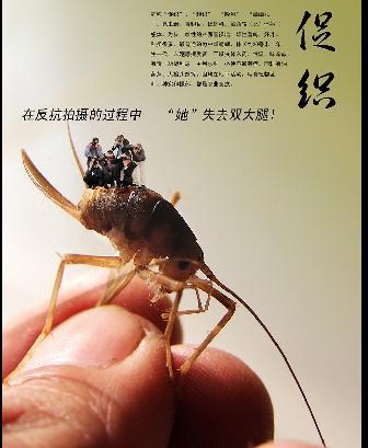 6616f77bb5177fe435a777c3166c66ac_4omq15ly2gh.png.jpg