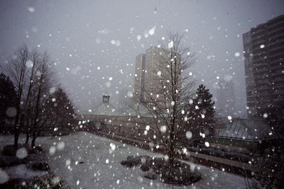 【快乐老王作品】专辑《最后一场雪》