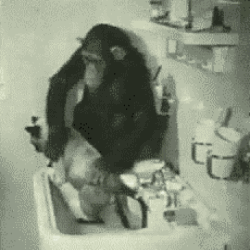 a8952110b46c49d7509e166b101819fa_t01fa9e5eeccc06f48b.gif