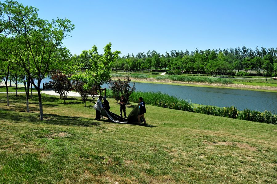 1711277258449624.jpg 5f9b0d7c0c2dad7988969f75ce78dc49_47350919_1495099537964_mthumb.jpg