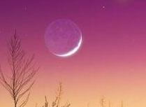 《想你的时候》作者:​ 祉缘​【大众原创诗词曲网刊】签约作家