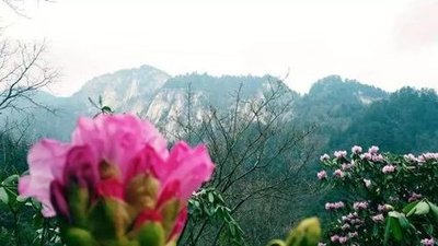 《 ​仲春山景》作者:​​默耕【大众原创诗词曲网刊】签约作家