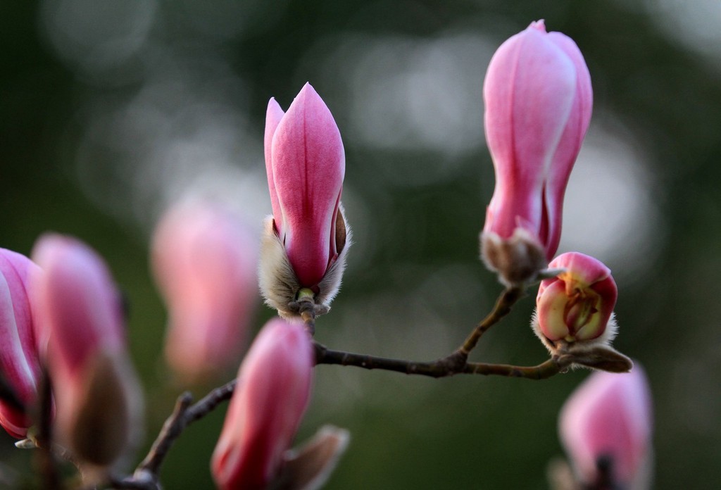 1711436961605121.jpg bf8c63ff96b7410c81ac60169269ff73_ead7963b203d168c201708c73955025bu5_w=1260.jpg