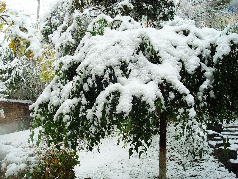 0f024e5ac85c54002feb0b8dc3e999e2_a6a6736cac9643f8bfc52c80af928aac.jpeg